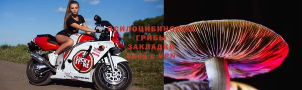 молекула духа Михайлов