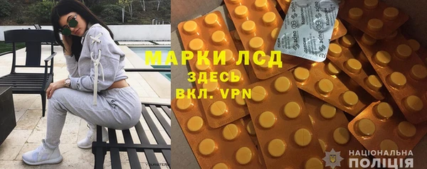 ПСИЛОЦИБИНОВЫЕ ГРИБЫ Михайловка