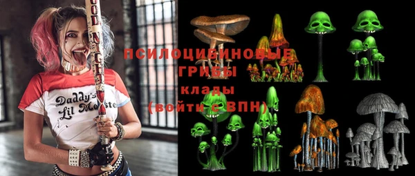 ешки Надым