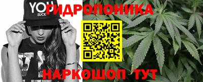 ешки Абакан
