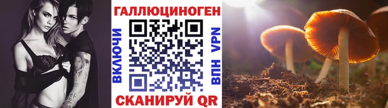 Галлюциногенные грибы мицелий  Санкт-Петербург 