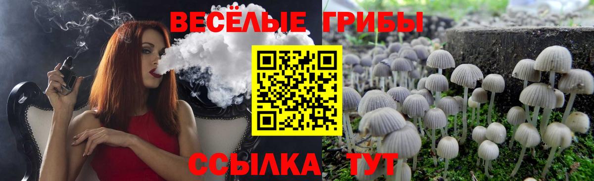 Галлюциногенные грибы Psilocybine cubensis  Вход с VPN  Россия 