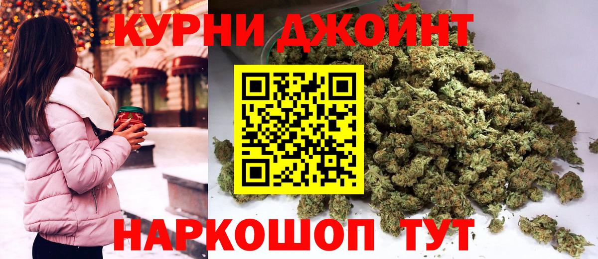 Канабис сатива Россия